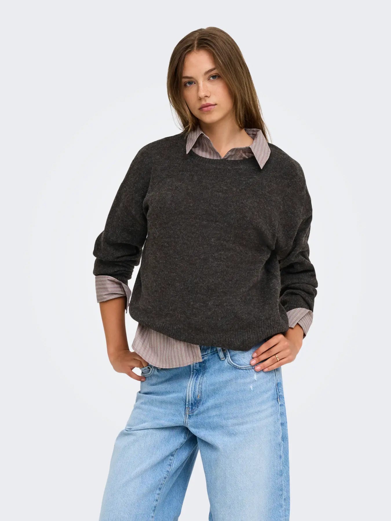 OLIVIA CREW NECK SWEATER | ONLY (BROWN)