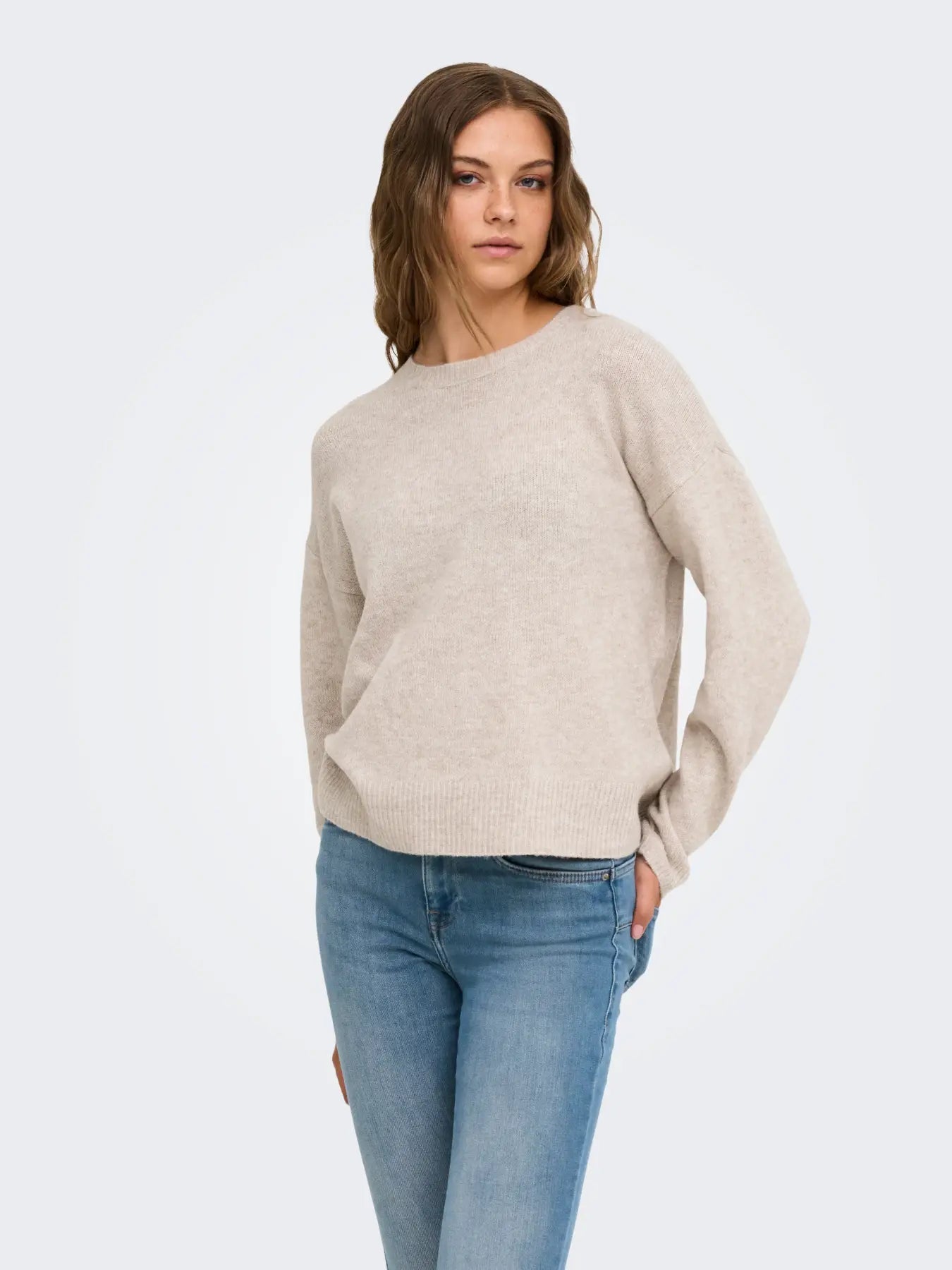 OLIVIA CREW NECK SWEATER | ONLY (BEIGE)