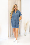 NEW CHANDRA DENIM DRESS